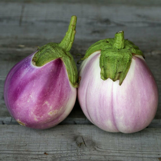 Aubergine Rotonda Bianca Sfumata di Rosa [Solanum melongena]