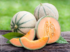 Charentais melon Murrmel [Cucumis melo]