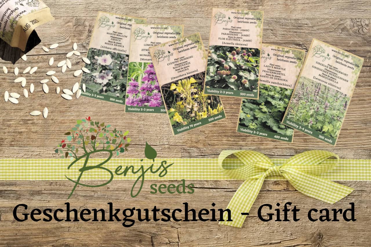 Benjis seeds - Geschenkgutschein - Nachhaltige biologische Samen zum verschenken